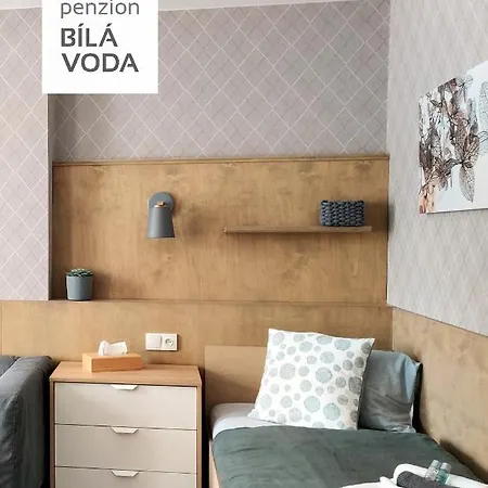 בית הארחה Bila Voda 3*
