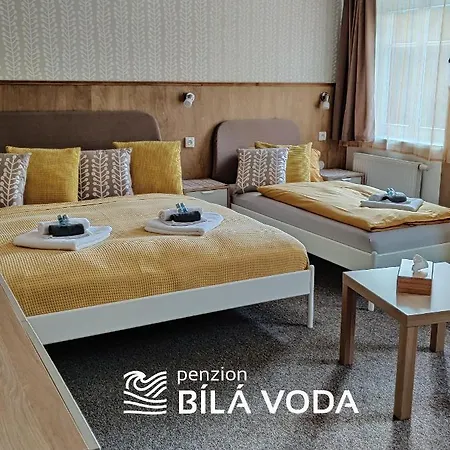 Bílá Voda 3* Harrachov