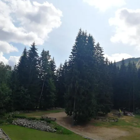 Bila Voda